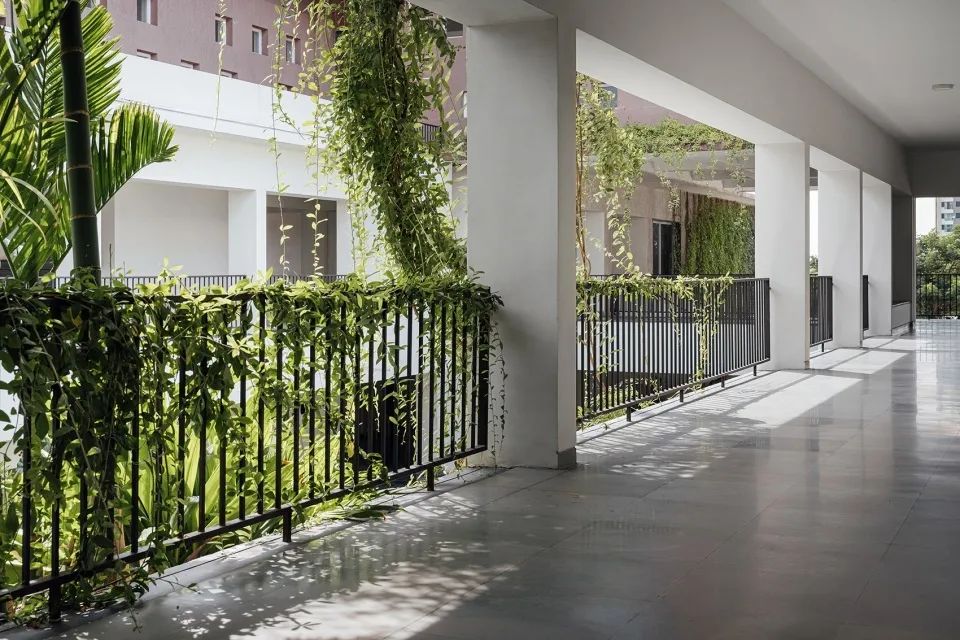 校园景观 | 激活校园空间，塑造“场所精神”