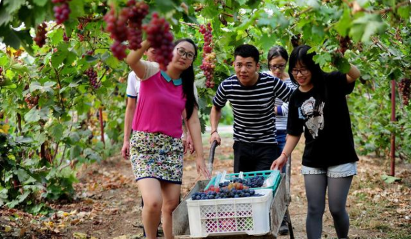 因饭菜好吃，这所985高校被称为“中国吃饭大学”，学生争相报考