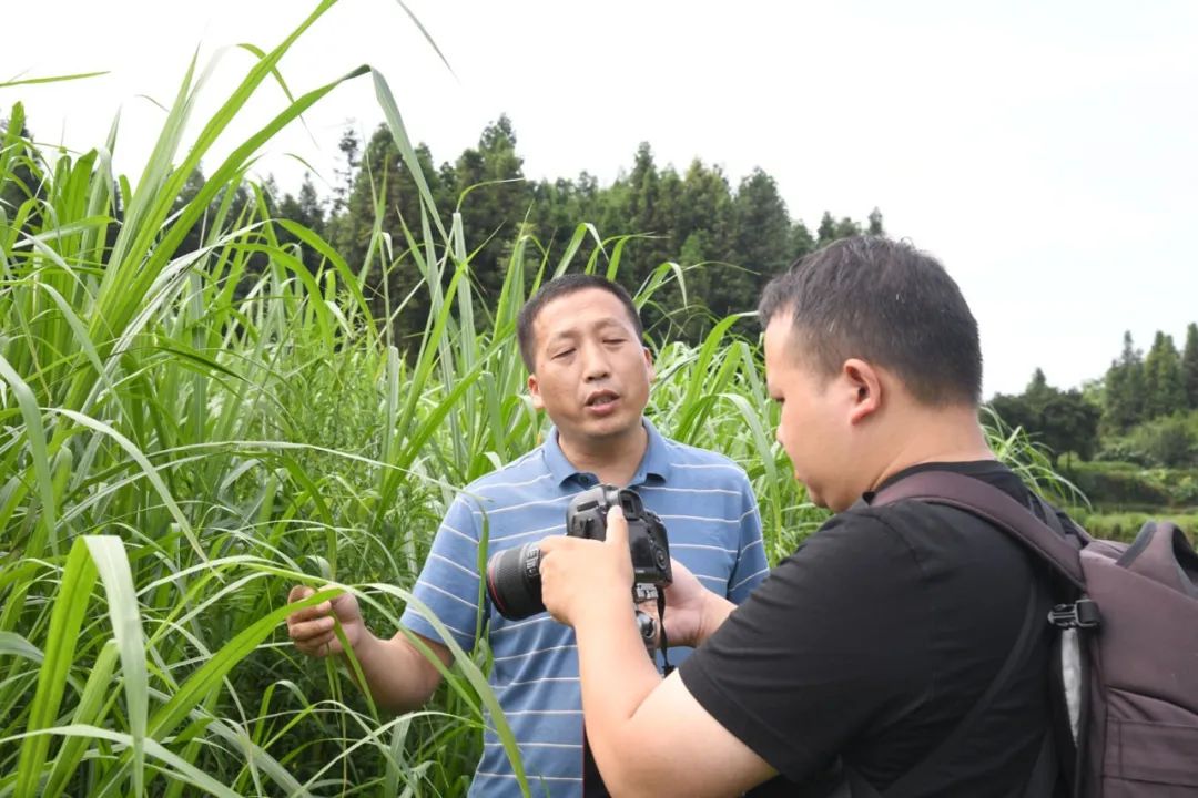 【代表风采】​致富路上的“领头牛”——记市六届人大代表黄爱民