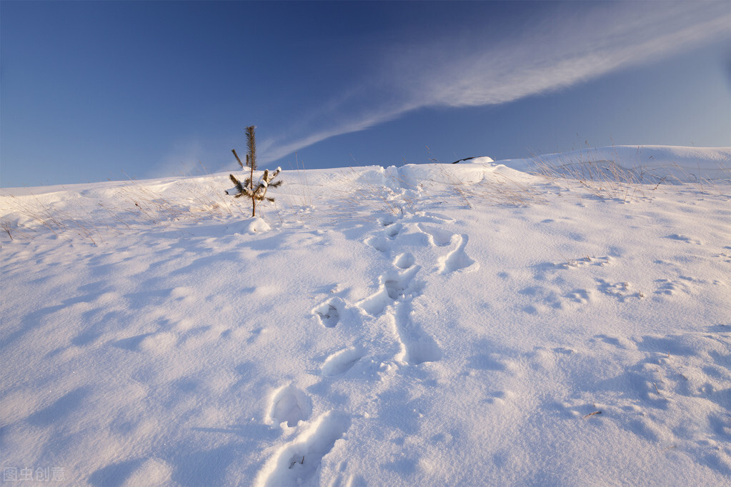 医生坦言：50岁大叔“斑块”消失，他坚持的4大习惯值得借鉴