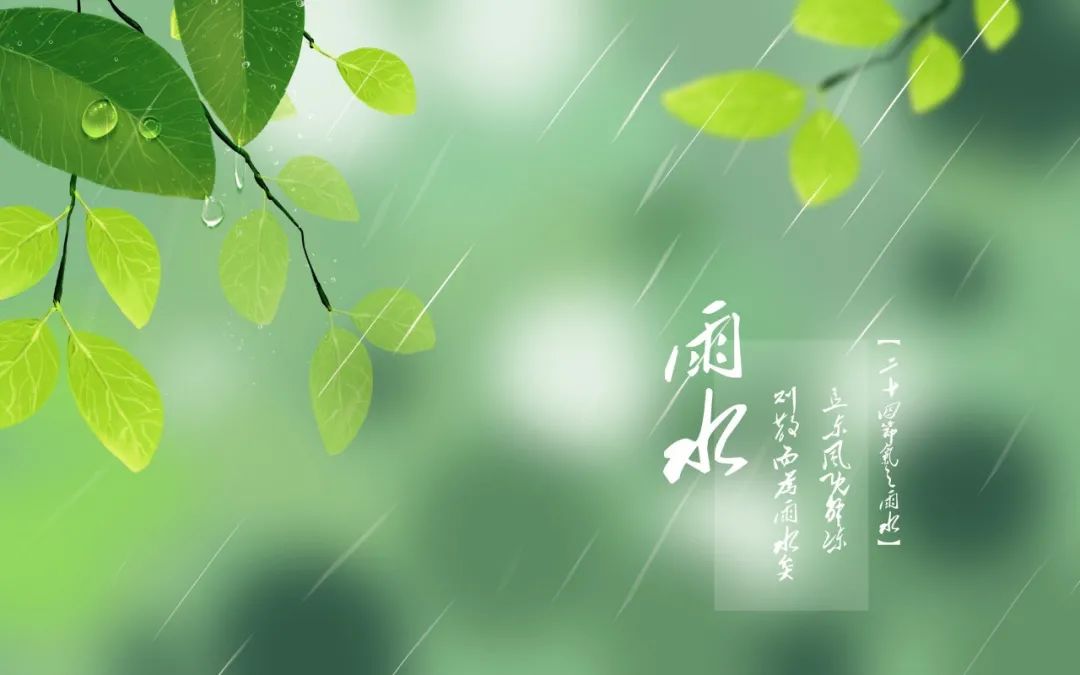 今日雨水｜一场春雨，十里花开，许你岁月静好