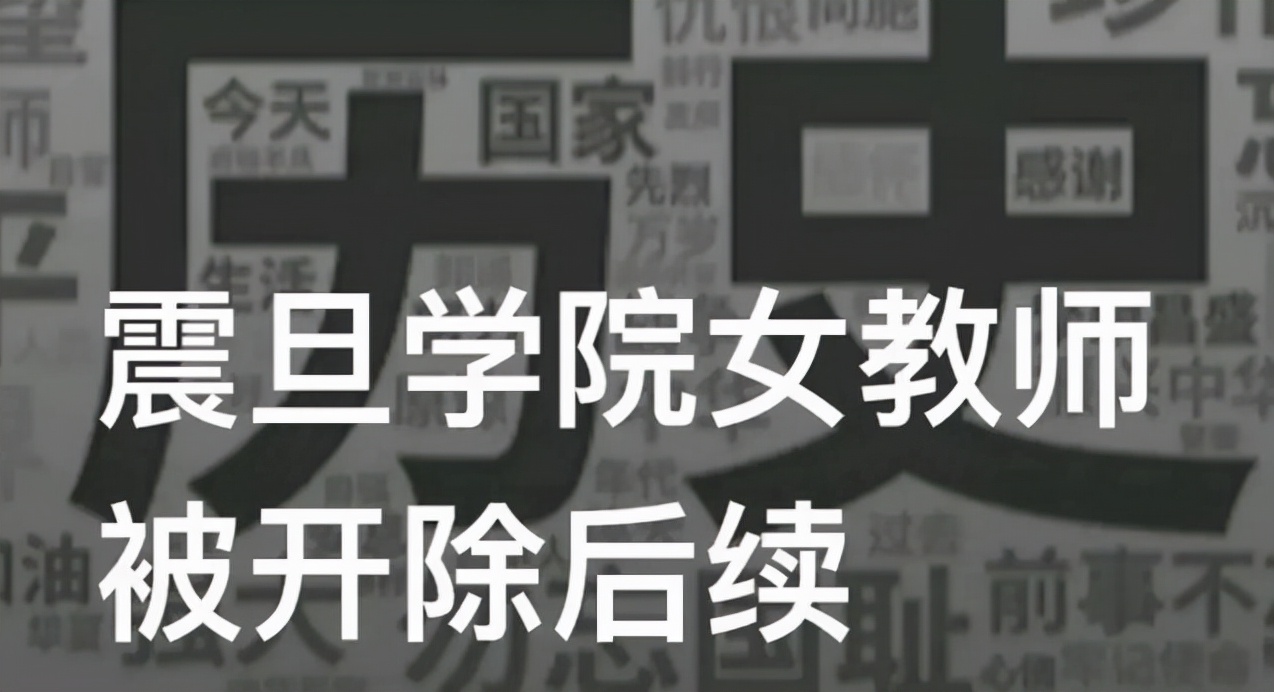 宋某被上海震旦职业学院开除之后，竟有多位高校教师发文支持？