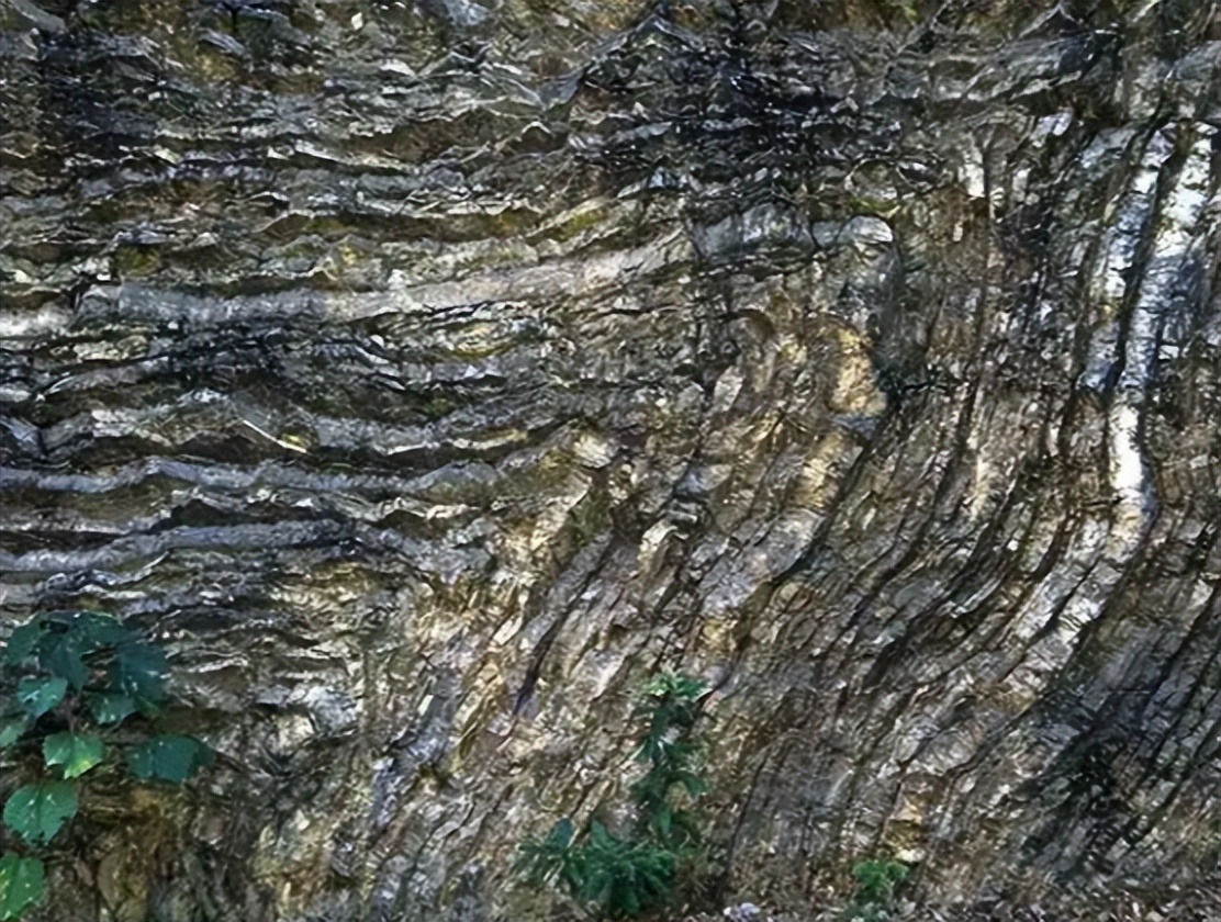 ����󺣵���ɳƾ����ʧ����ԭ���������ѱ�һ���ѷ����