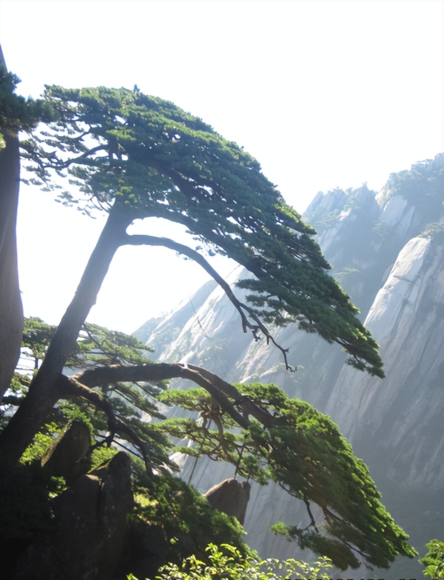 中国颂·邱体诗·邱颂·四言诗·邱承彬邱木兮诗