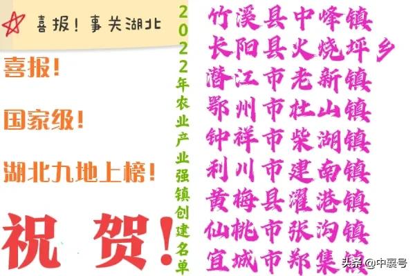 喜报！湖北九地入围国家级名单，将获得中央财政支持