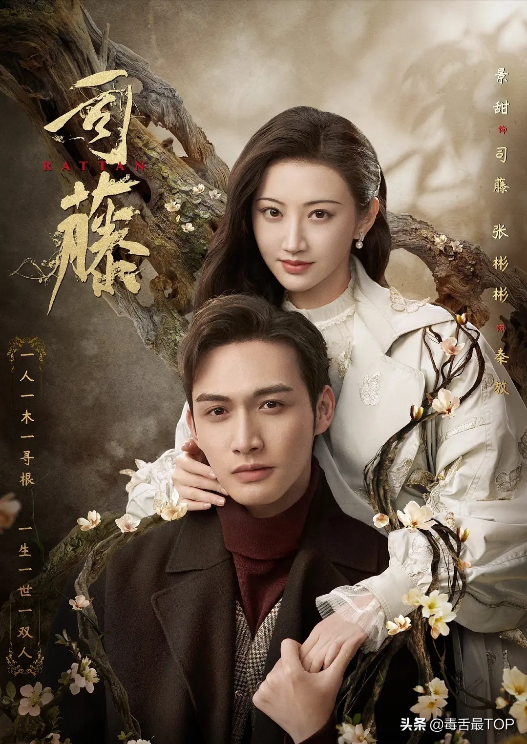 2021年度网络剧TOP10，《赘婿》上榜，哪部是你的最爱？