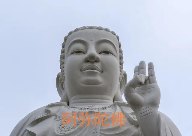 最新網絡用語 絕絕子 內卷 躺平 佛系 雙擊666 等等都是什么意思？