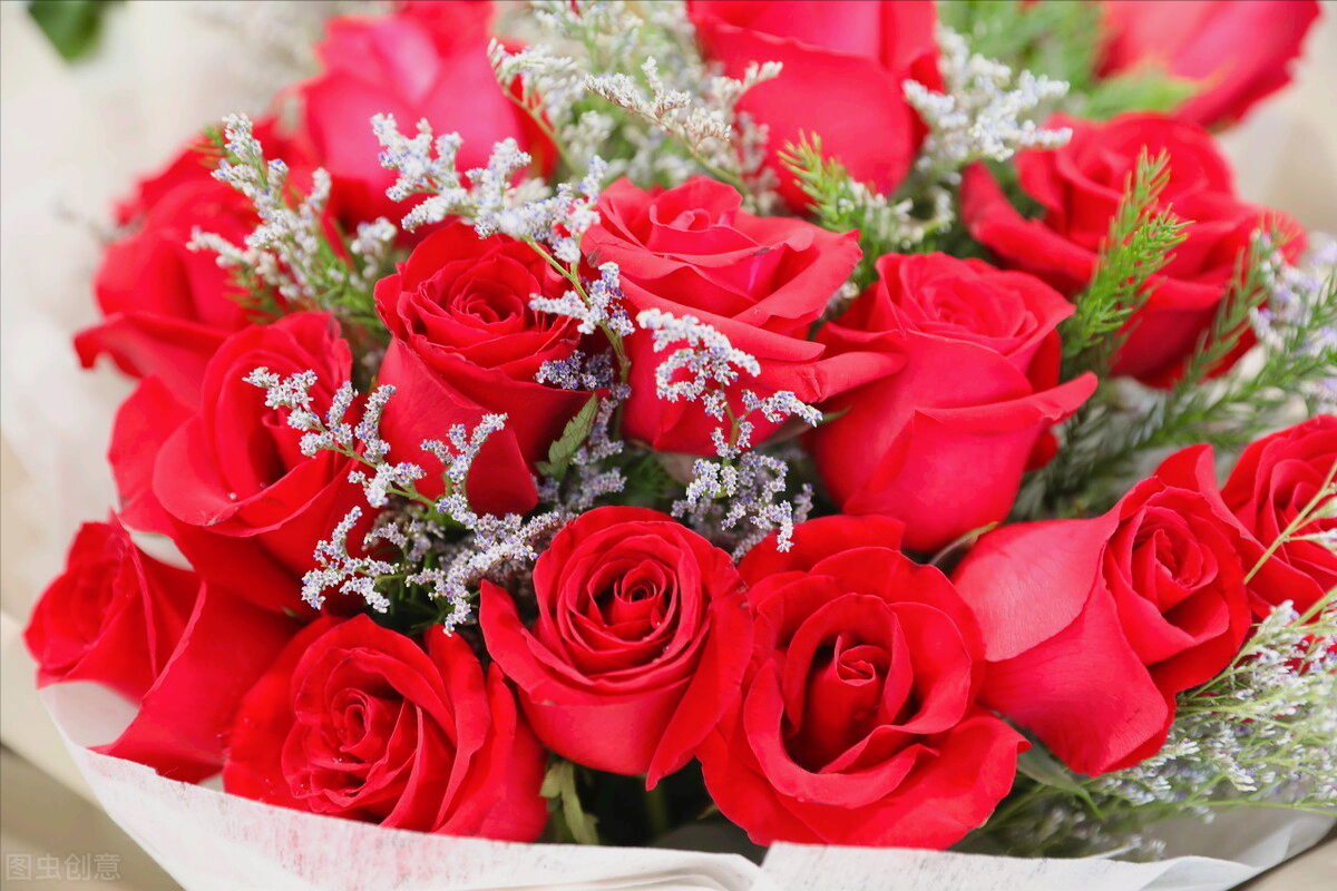 一花一喜庆,大年初九幸福到,99朵玫瑰送祝福,好运久久跟你走