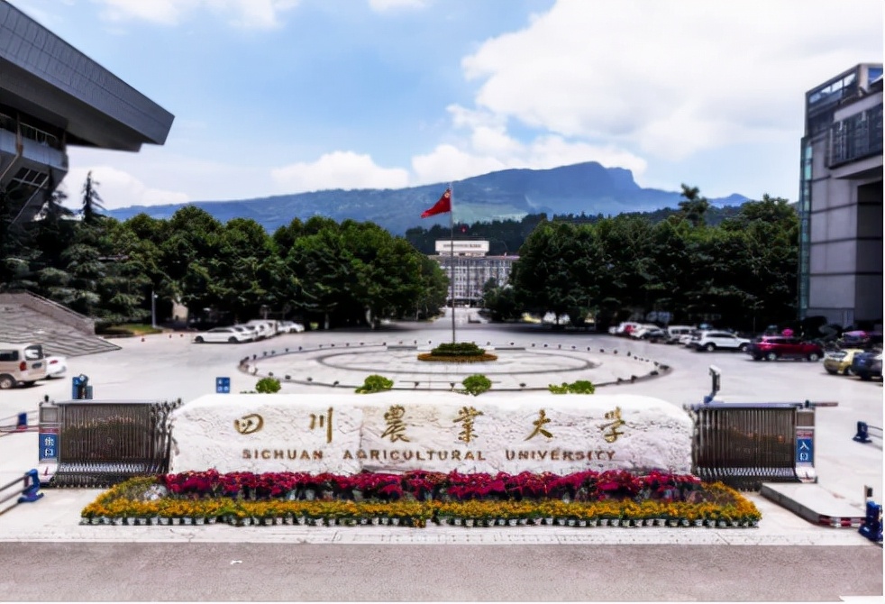 四川这所高校“保研率”超高！共746人保研985、211等名校，排名全国前列！