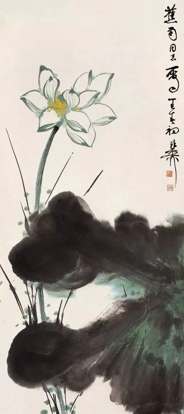 谢稚柳的荷塘，是不是你梦中的江南？