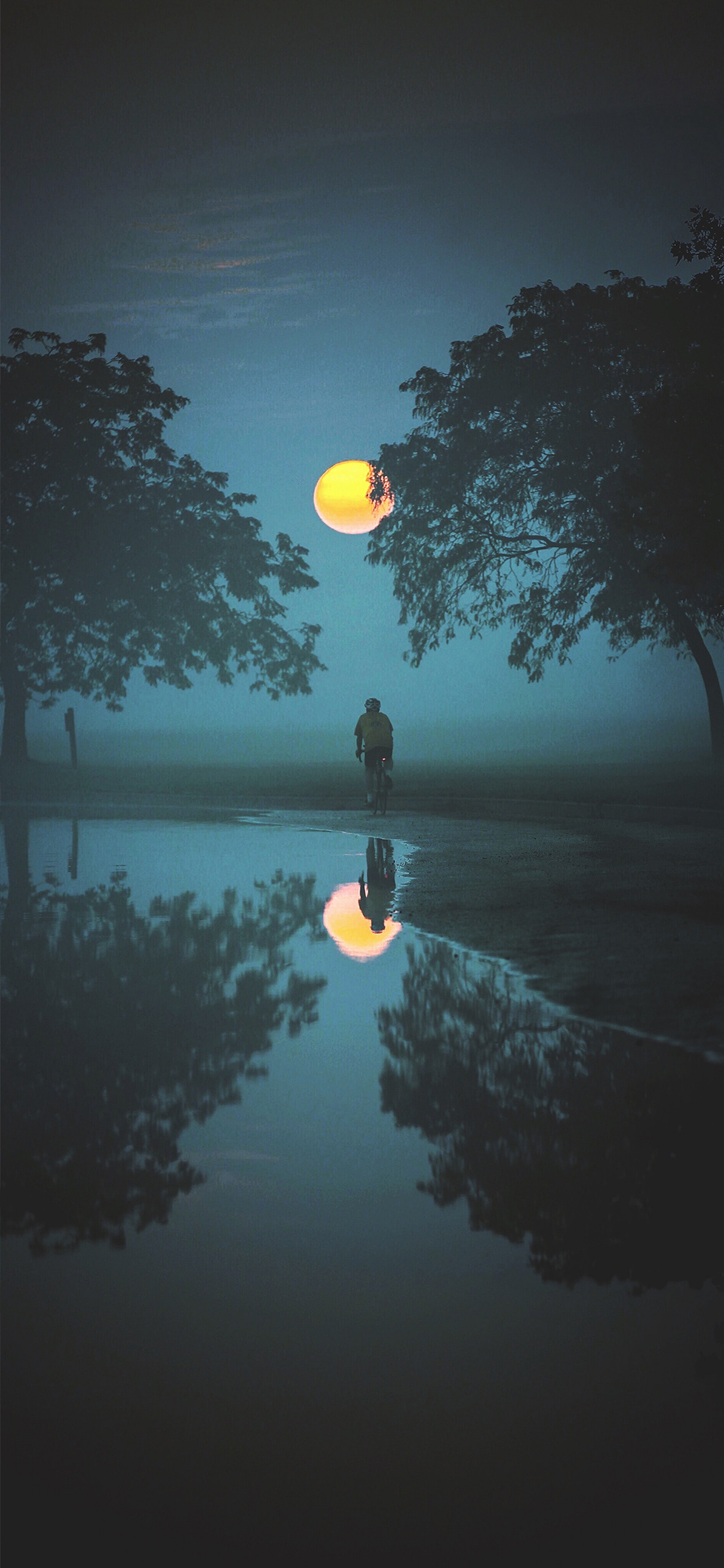 冷漠图片(ins冷淡风壁纸高级感) - 赤虎壹号