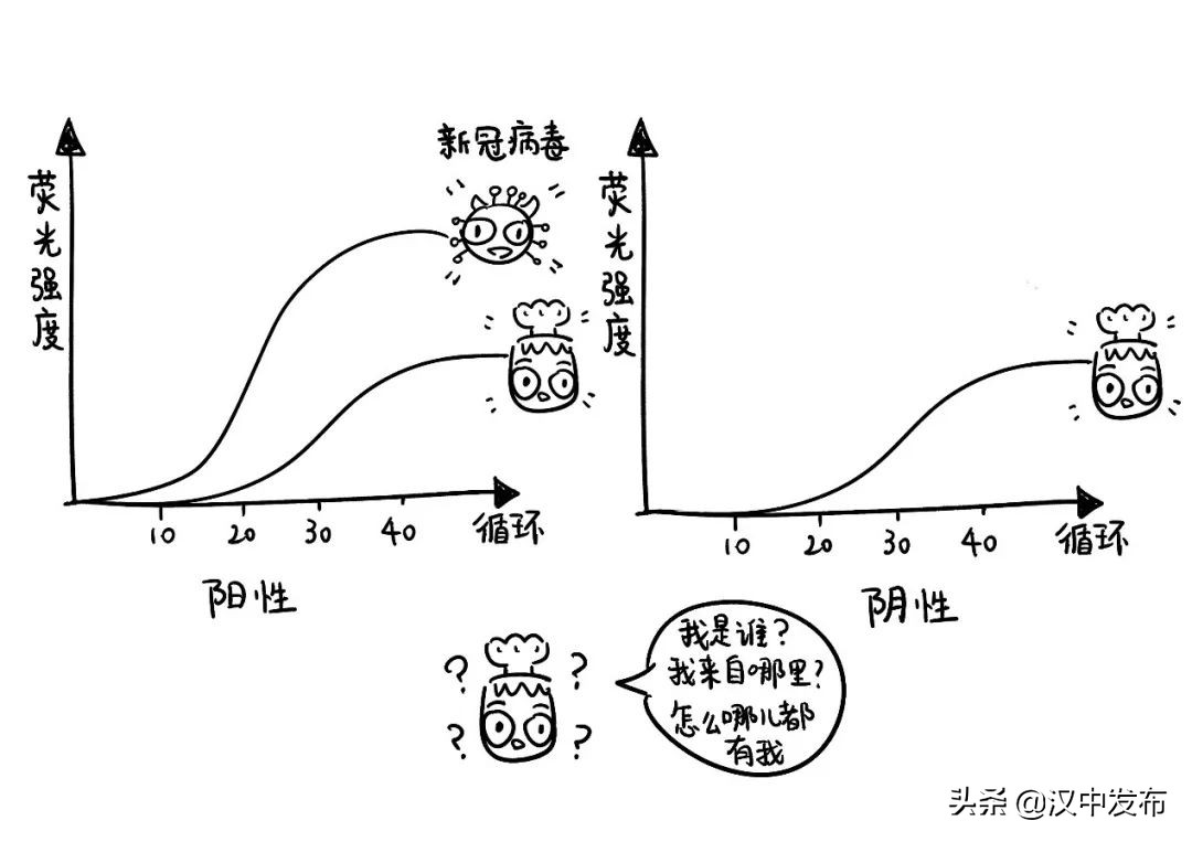 勿催！一份核酸檢測(cè)報(bào)告的誕生不簡(jiǎn)單→