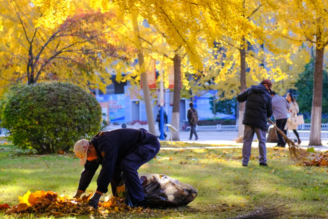 获奖名单公布！大工原来这么美