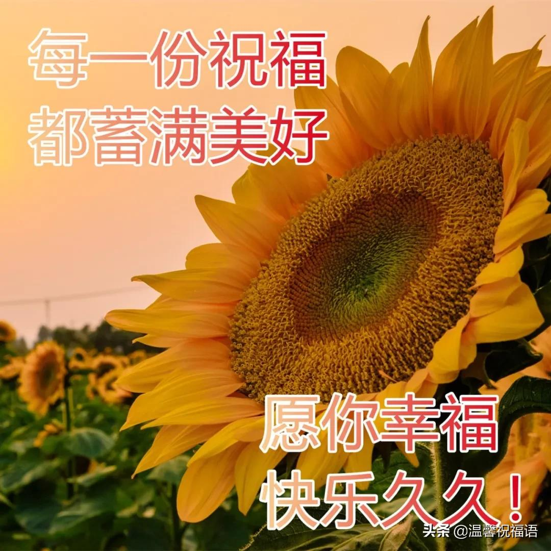 珍惜友情早上好图片 对好朋友的早安祝福图片大全