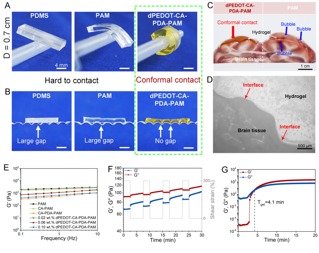 中国科学家研发柔性脑机接口，在10Hz左右找到α波