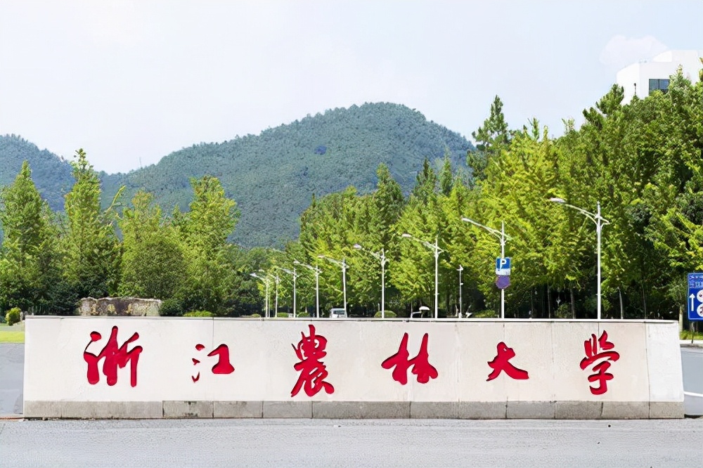 17年前，浙江19岁男孩背着母亲上大学，29岁不顾反对变性为女人