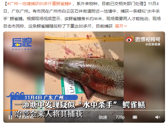 “恶魔之花”胞姐“水中杀手”入侵广东！为何不敢吃？究竟有多毒