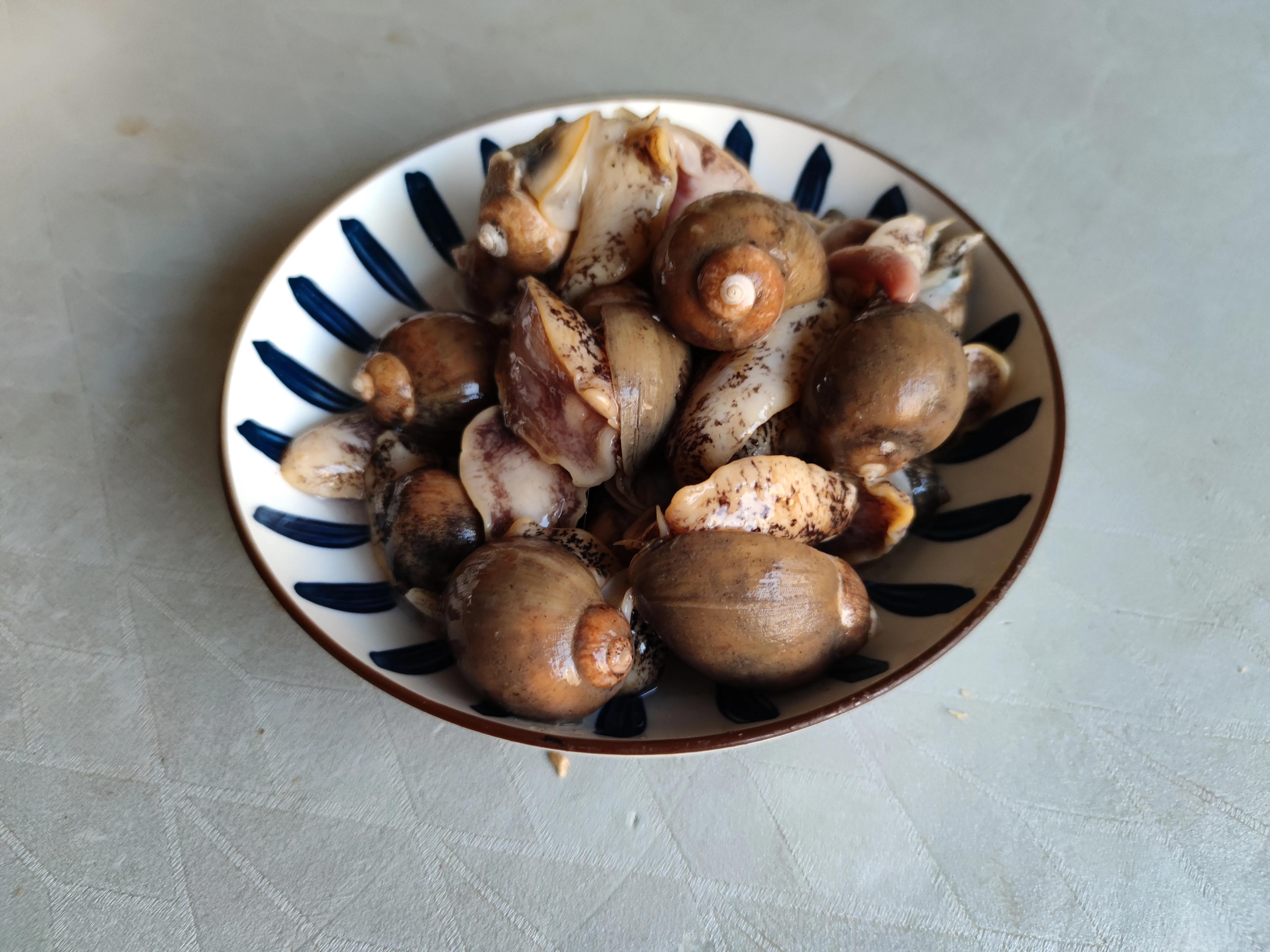 海鲜种类图片及名称(大寒时节) - 赤虎壹号