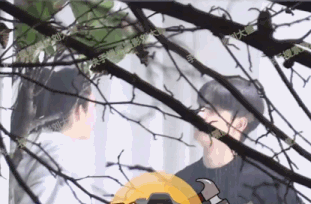 “宝女郎”张俪：被称渣男回收站，36岁仍未婚，成名路上有眼泪