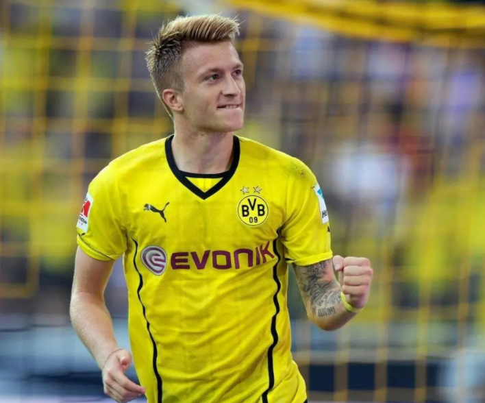 世界杯罗伊斯评价(忠义千秋——罗伊斯)