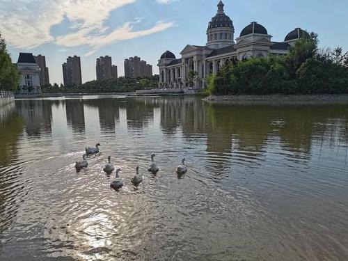 河南省有哪些好大学？