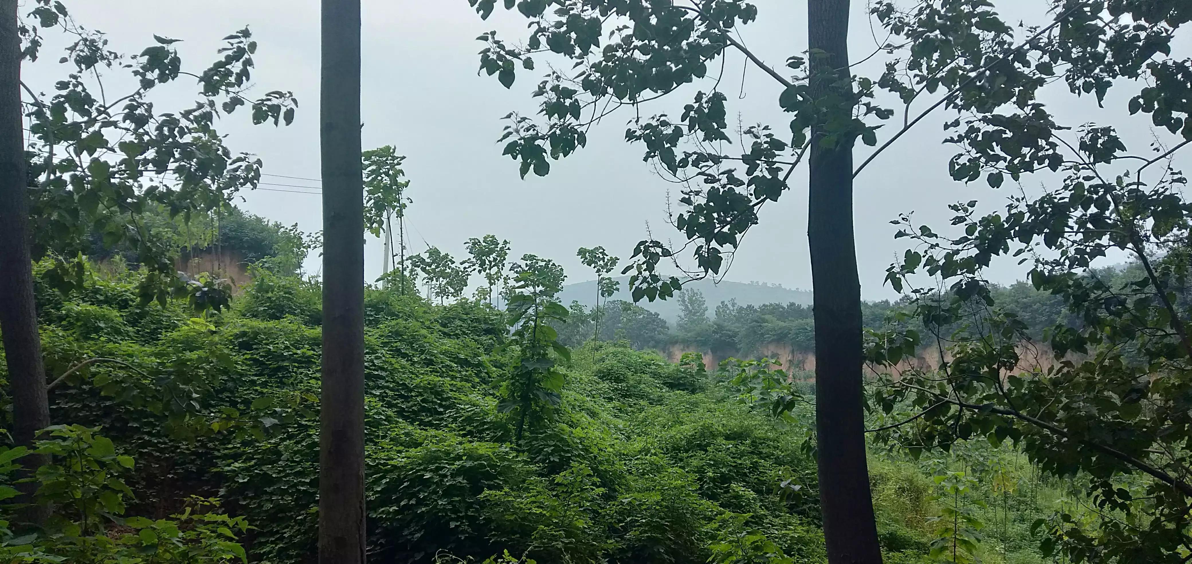 女相的男人（短篇小说）