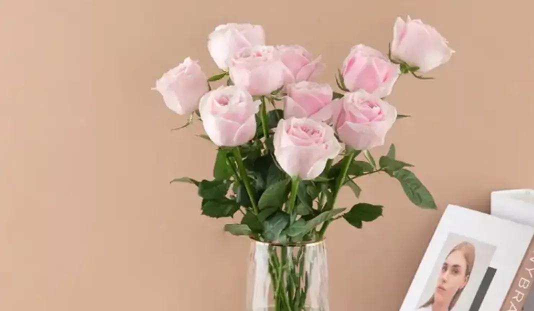 《增广贤文》中有关处世态度的10句话