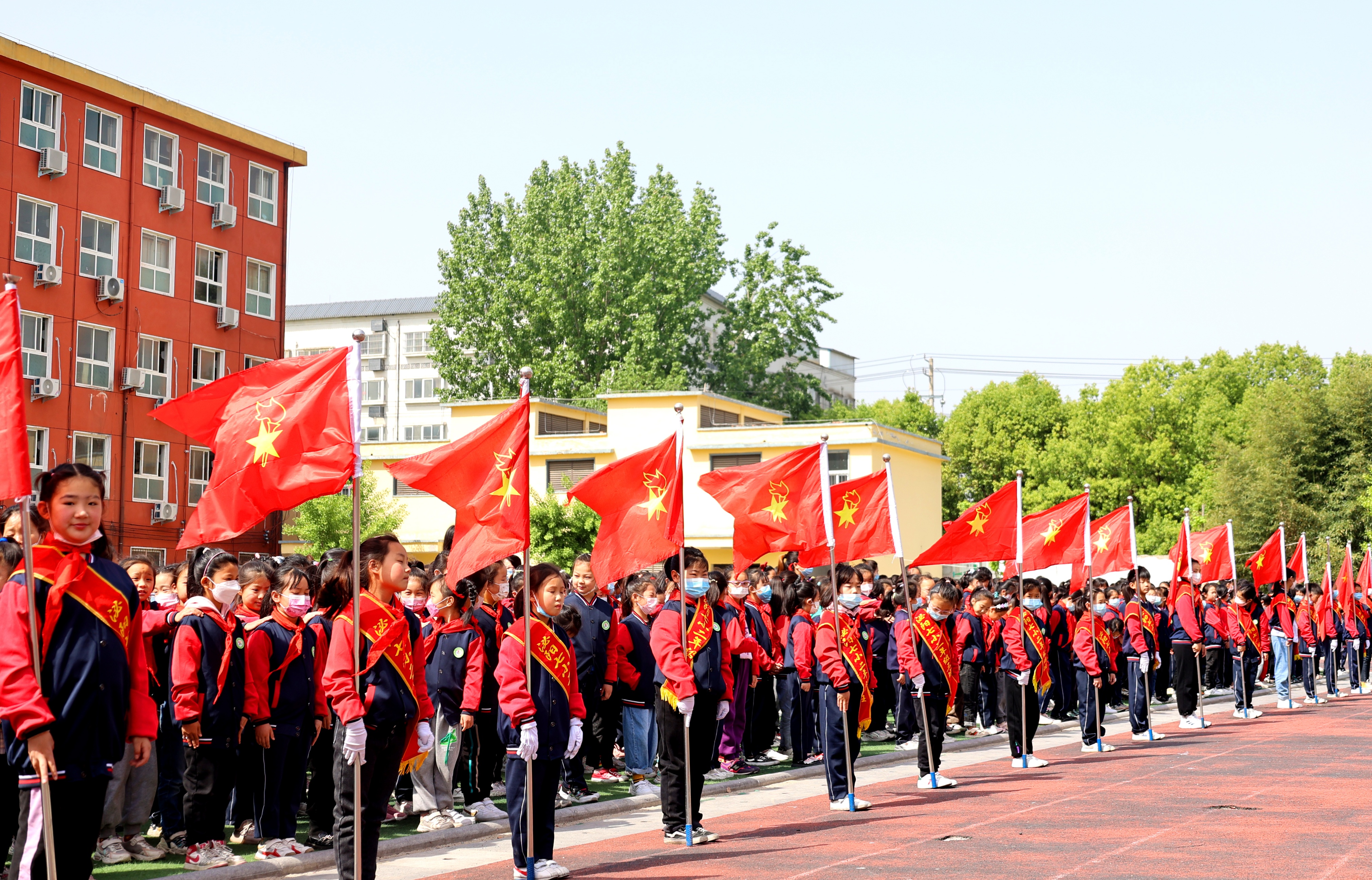 泌阳县六中学校图片图片