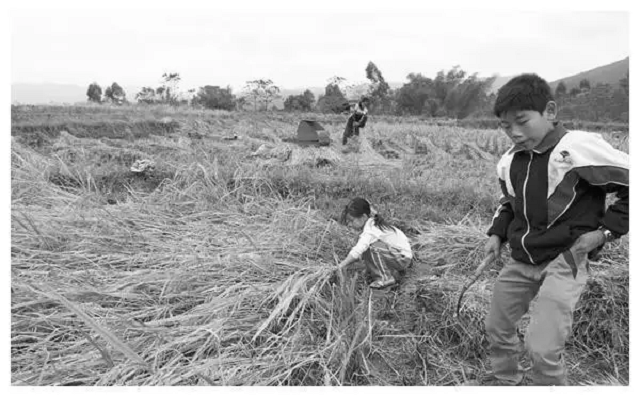 陕西农民捡到​坑面女婴，哥哥做苦力为妹妹整容，变美后她嫁给哥哥