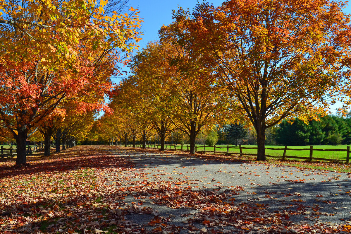 我們應該順應自然法則來保養我們的身體