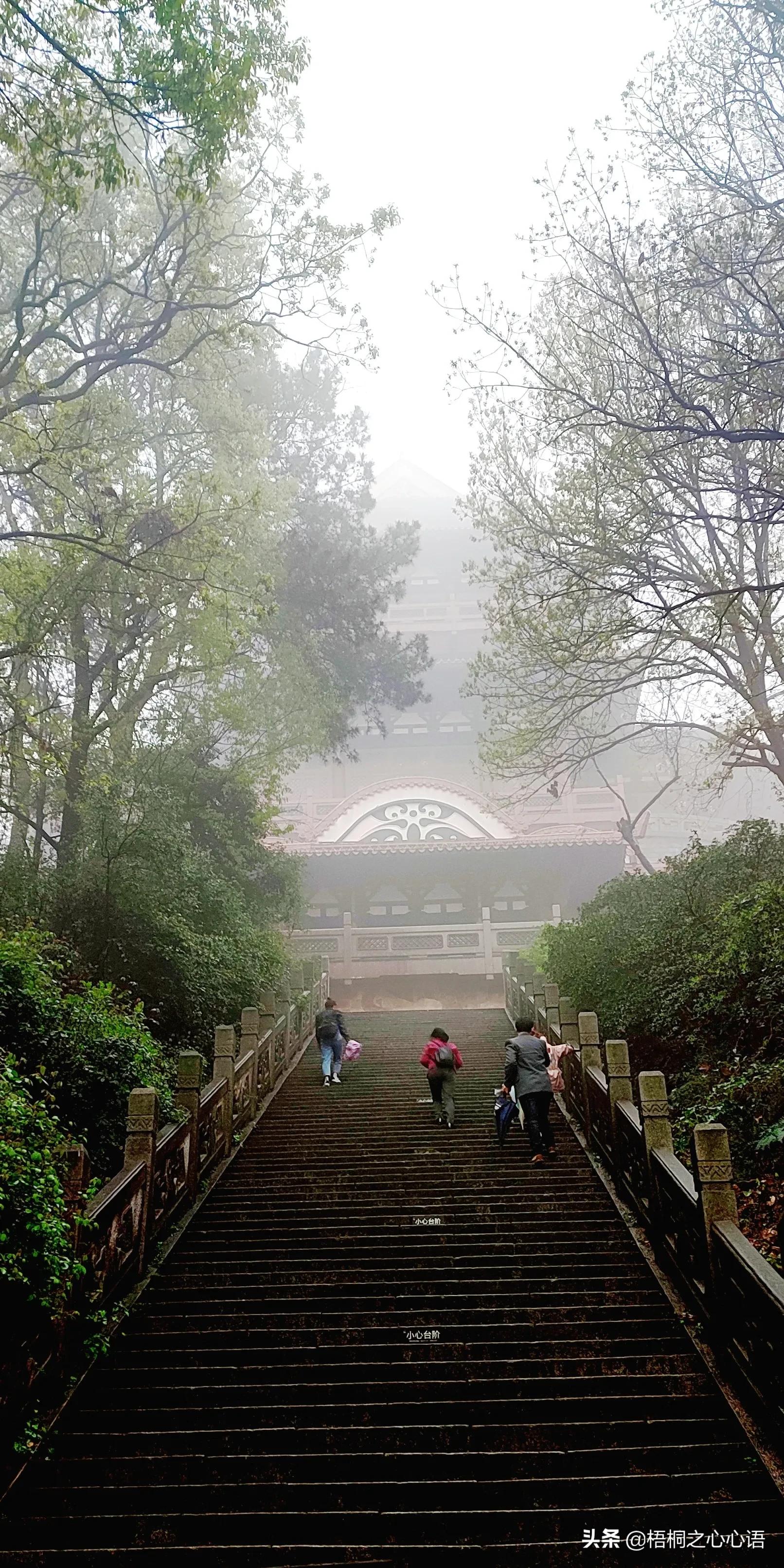 去年樱开时，那些漫妙记忆，此生许没再见时，存此让友情天长地久