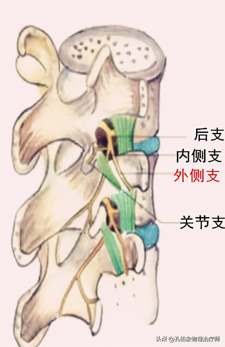 腰椎间盘突出，臀部疼痛、麻木，是怎么回事？该如何治疗