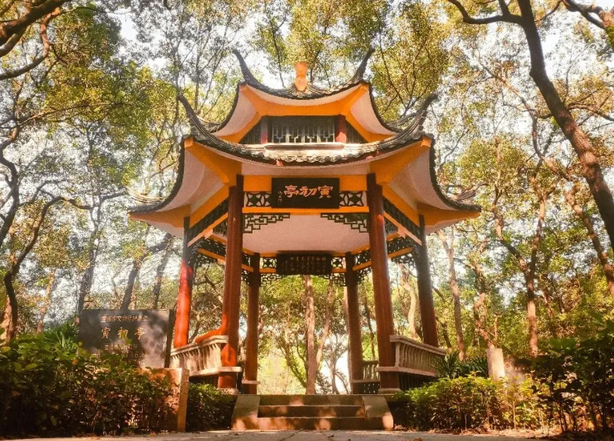 重庆本地一本、二本大学名单公布，以投档线为依据，真实可信