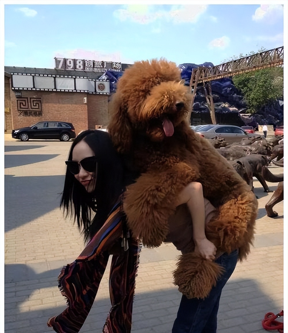 盘点明星养的狗,关晓彤家的最可爱,你养同款了吗?