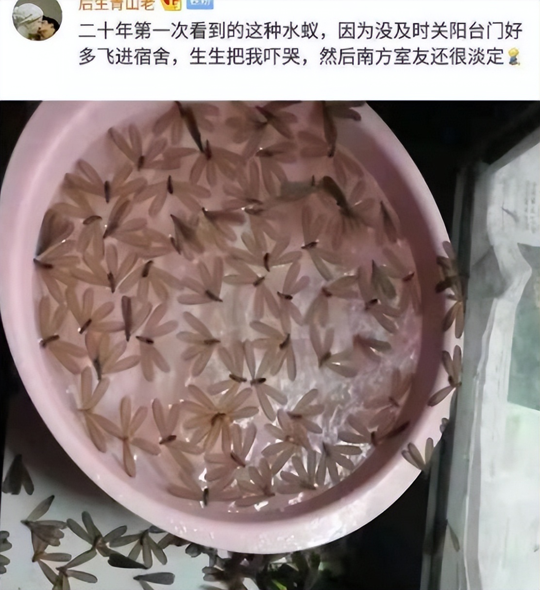 北方学生去南方读大学，感觉来到另一个世界，尤其是晚上感受颇深