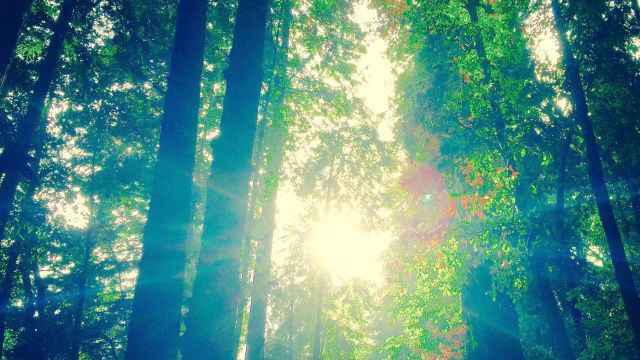 1.5万名科学家联合声明，第六次大灭绝或正发生，有这种可能吗？