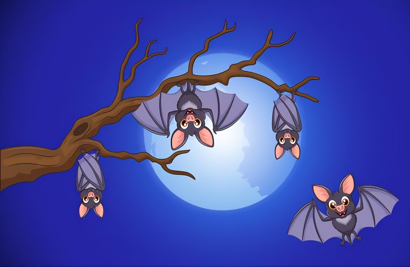 蝙蝠携带病毒上千种，包括冠状病毒，人类为何不消灭蝙蝠？