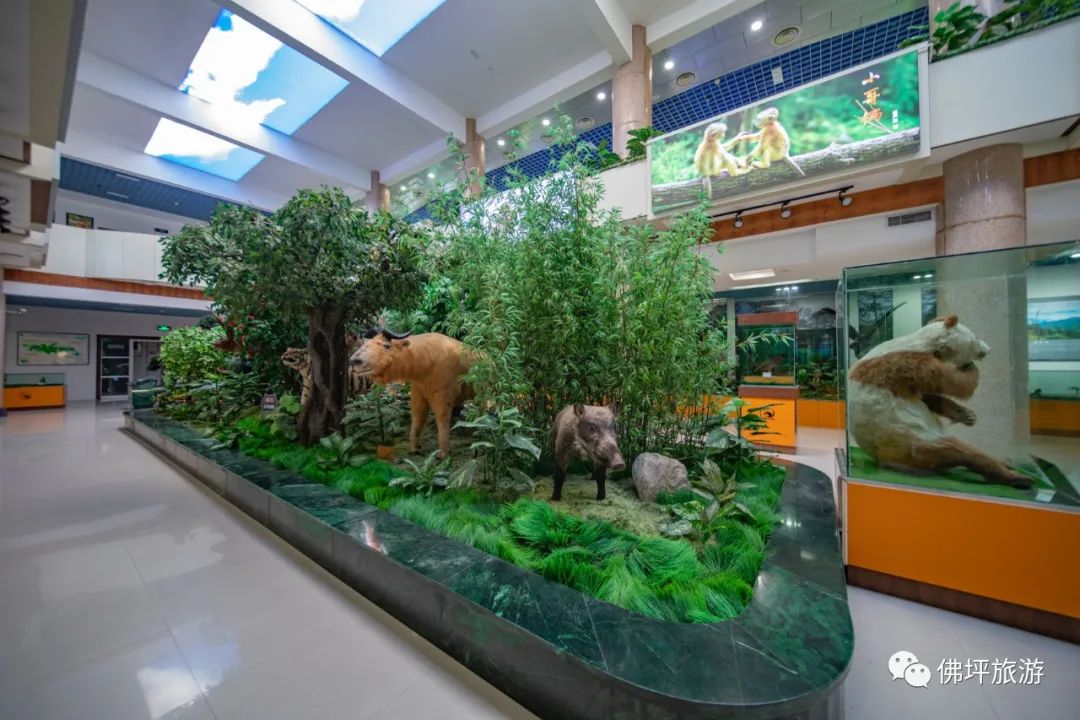 春游踏青別跟風(fēng)，快來漢中這里一站式體驗(yàn)“春之旅”！