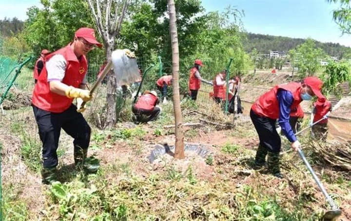 南华：汇集代表智慧力量 助力人居环境提升