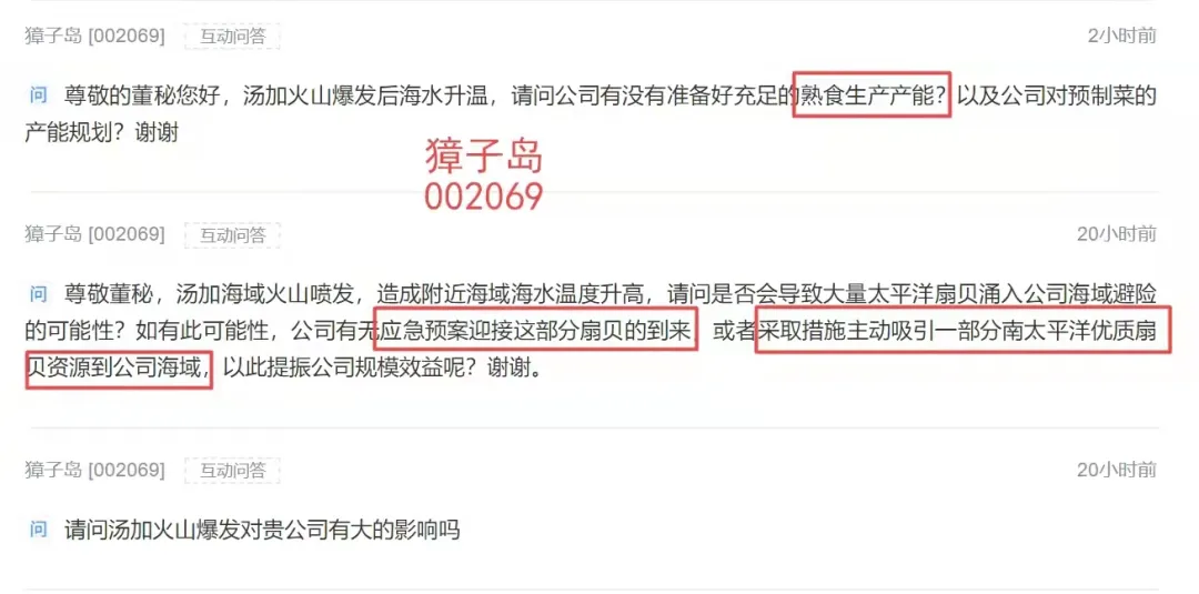 獐子岛扇贝，世界上智商最高的扇贝