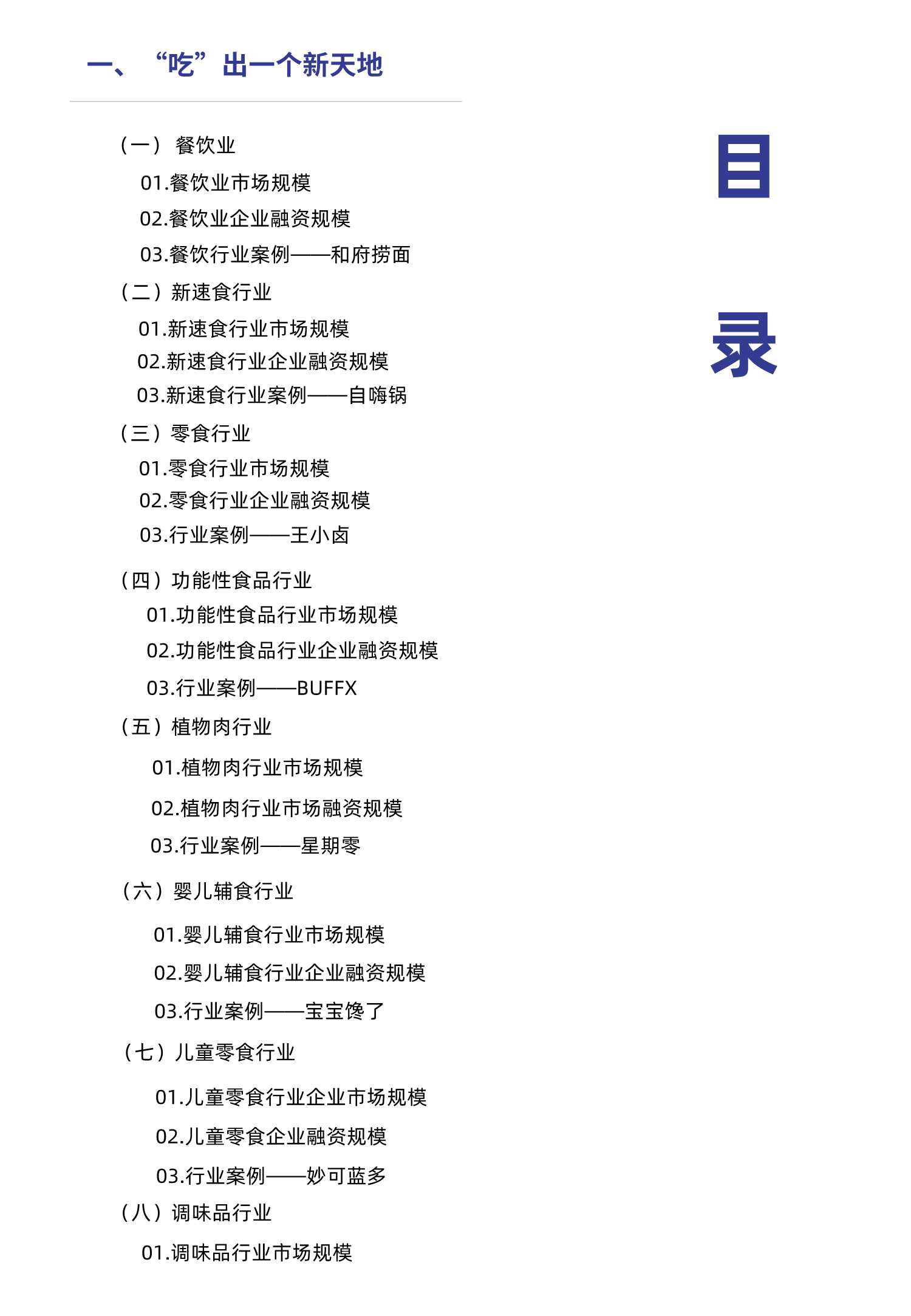 126页中国新品牌发展实录