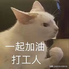 8個(gè)互聯(lián)網(wǎng)打工人必備網(wǎng)站，熟練掌握起來(lái)，升職加薪