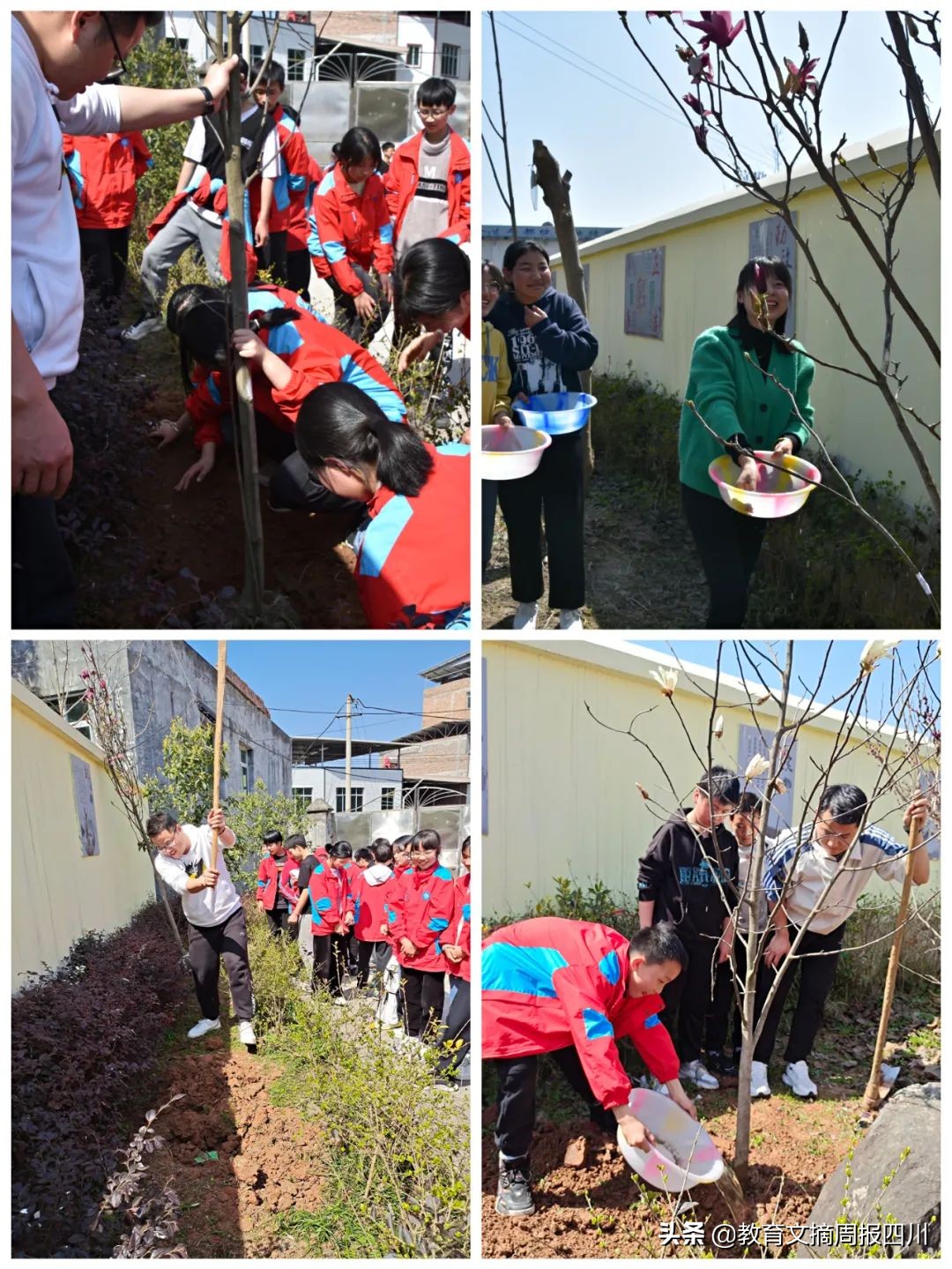 巴州區(qū)梓橦廟小學(xué)開展植樹節(jié)活動(圖4) 巴州區(qū)梓橦廟小學(xué)開展植樹節(jié)活動(圖4)