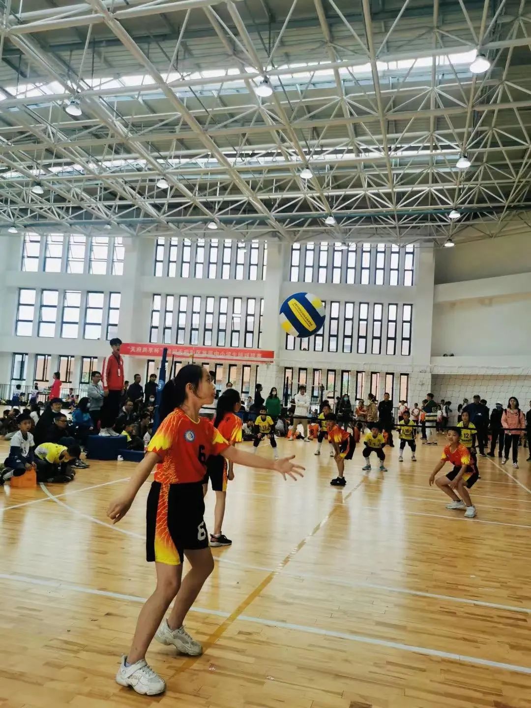 南湖小学荣获“天府共享杯”首届中小学生排球联赛小学乙组冠军