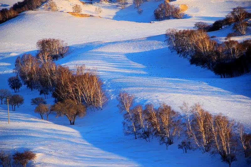 《沁园春·雪》：开头写宏伟壮阔的雪景，结尾抒改变世界的壮志