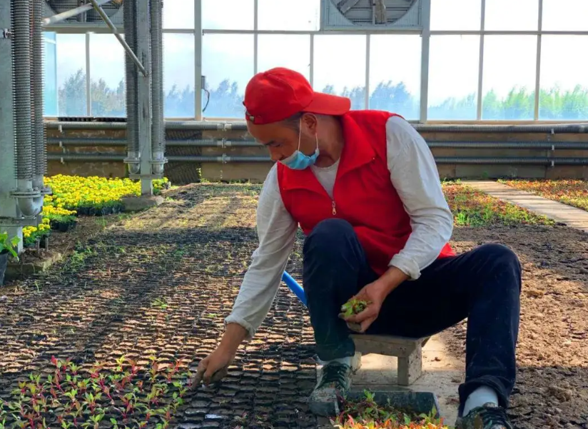 什么是五一节？在大多数情况下，资本主义的反面