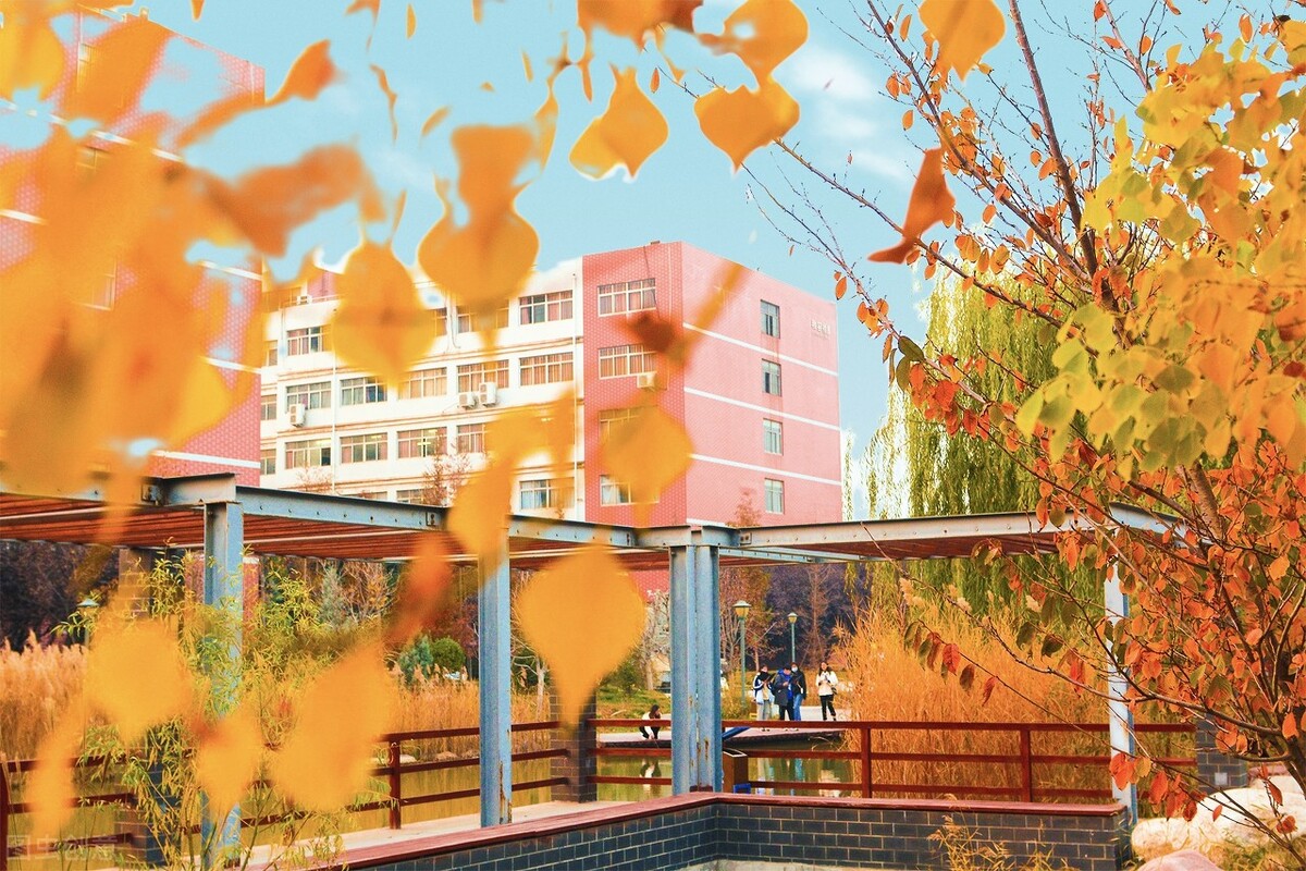 这4所河南的本科大学，开设有专科专业，低分段的学生不能错过