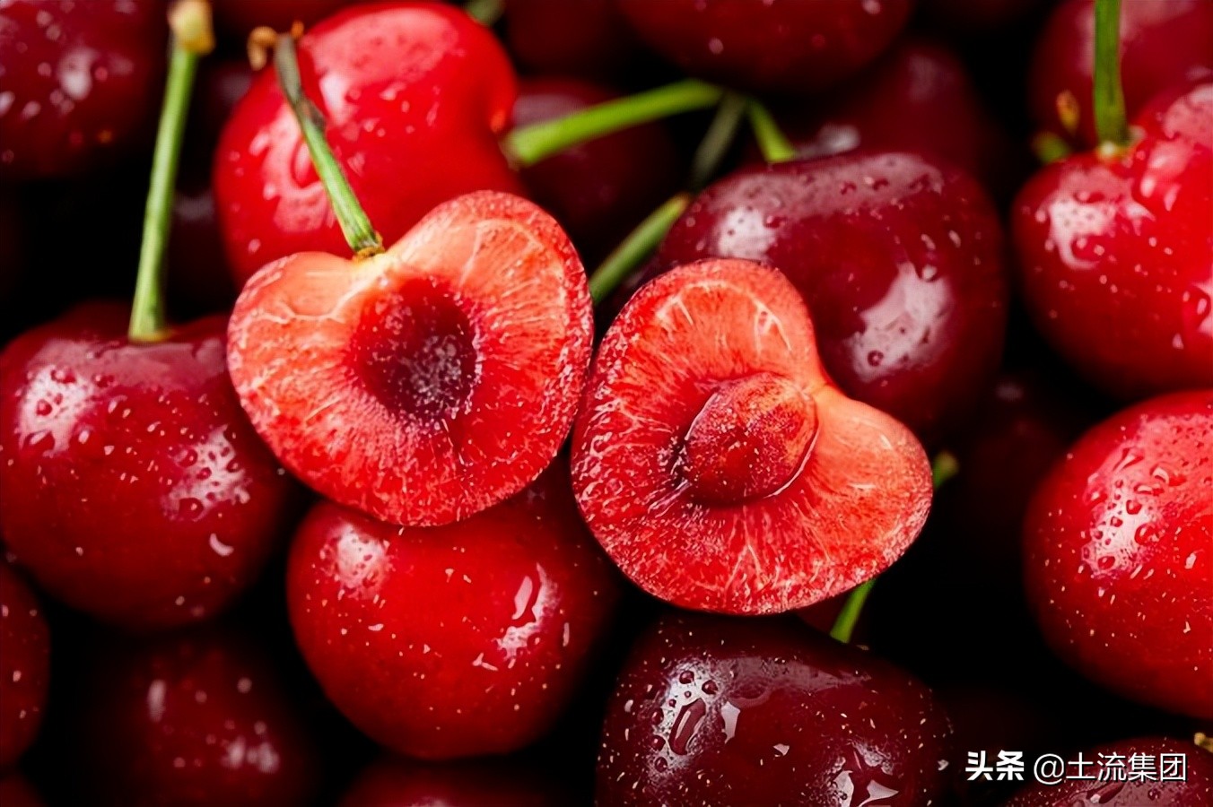 车厘子几j最好？怎么看车厘子几个J？车厘子2j3j4j对比介绍