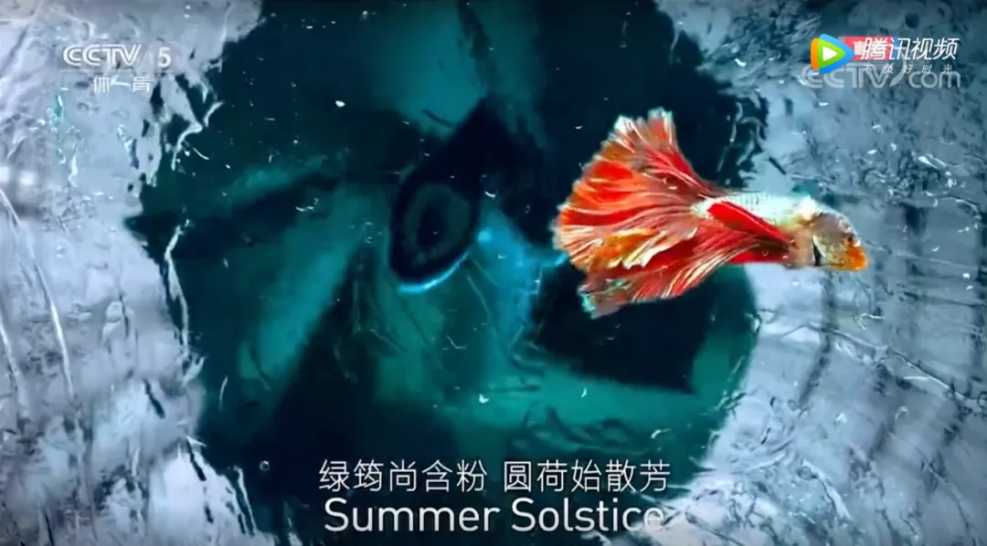 收藏!冬奥会开幕式上14首古诗词都在这里了!
