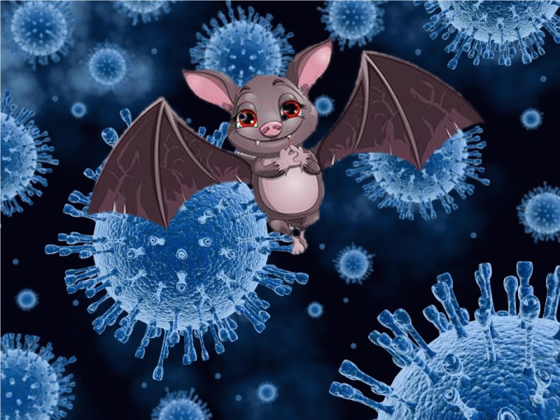蝙蝠携带病毒上千种，包括冠状病毒，人类为何不消灭蝙蝠？